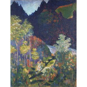 Gauguin, Paul (1848-1903) - Obrazová reprodukce Landscape, (30 x 40 cm)