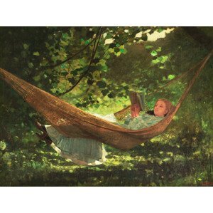 Obrazová reprodukce Sunlight & Shadow (Girl Reading Beneath the Trees, in a Hammock) - Winslow Homer, (40 x 30 cm)