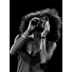 Umělecká fotografie Whitney Houston, 1988, (30 x 40 cm)