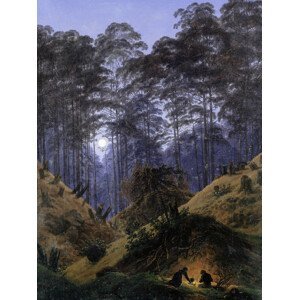 Obrazová reprodukce The Forest under Moonlight (Vintage Fantasy Landscape) - Casper David Friedrich, (30 x 40 cm)