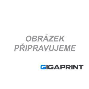 Gigaprint Dell 593-10923 - kompatibilní