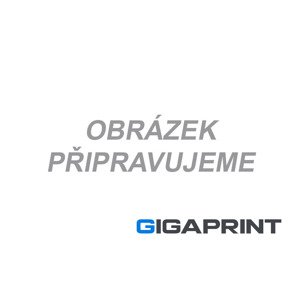 Printronix originální páska do tiskárny, 255049401, černá, 4x17000s, Printronix P7000 serie/P7005/P7