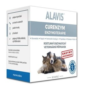 Alavis Curenzym Enzymoterapie 80 kapslí