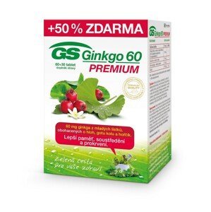 GS Ginkgo 60 Premium 60 + 30 tablet