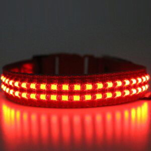 Reedog luminous USB svíticí obojek pro malé, střední a velké psy - Červená L