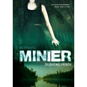 Zkurvenej příběh | Jiří Žák, Bernard Minier