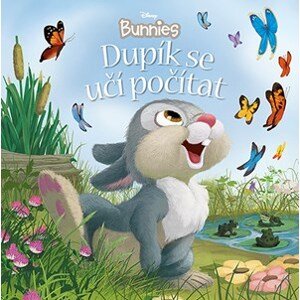 Disney Bunnies - Dupík se učí počítat | Kolektiv