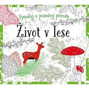 Život v lese - omalovánky | Susie Foster, Filip Drlík