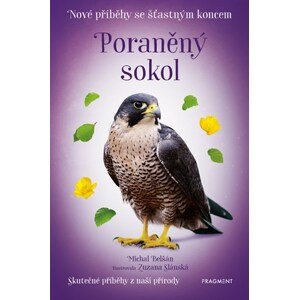 Nové příběhy se šťastným koncem – Poraněný sokol | Michal Belšán, Zuzana Slánská