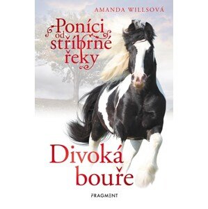 Poníci od stříbrné řeky – Divoká bouře | Romana Neumanová, Amanda Willsová