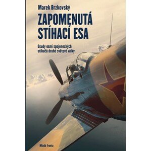 Zapomenutá stíhací esa | Marek Brzkovský