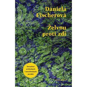 Želvou proti zdi | Daniela Fischerová