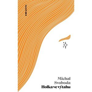 Holka ve výtahu | Michal Svoboda