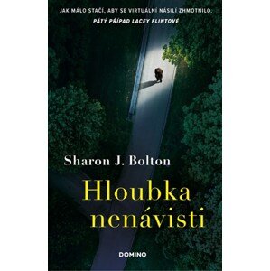 Hloubka nenávisti | Sharon J. Bolton, Martin Verner