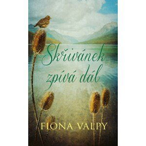 Skřivánek zpívá dál | Fiona Valpy, Jiří Chodil