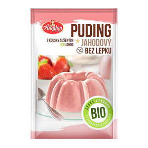 Bio Puding jahodový Amylon 40g