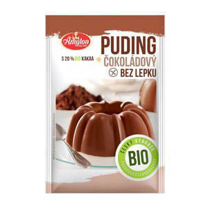 Bio Puding čokoládový Amylon 40g