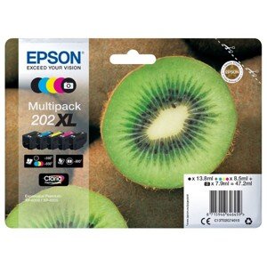 EPSON C13T02G74010 - originální cartridge, černá + barevná, 1x13,8ml/1x7,9ml/3x8,5ml