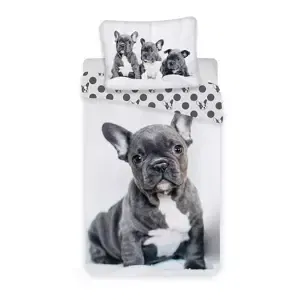 JERRY FABRICS Bavlněné povlečení - Bulldog - 140 x 200 - Jerry Fabrics