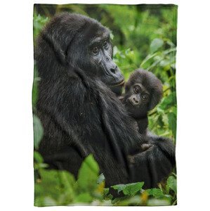IMPAR Fleecová deka Gorila a mládě 150x120 cm (Rozměr : 200 x 140 cm, Podšití beránkem: NE)
