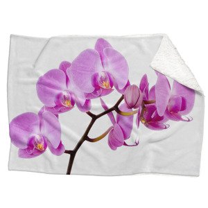 Deka Růžová orchidej (Rozměr : 200 x 140 cm, Podšití beránkem: ANO)