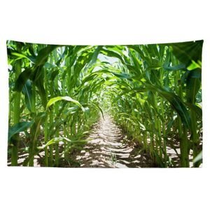 Tapestr Kukuřičné pole