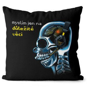 Polštář Důležité věci – gamer (Velikost: 55 x 55 cm)