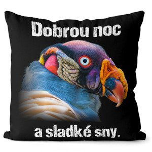 Polštář Dobrou noc a sladké sny (Velikost: 55 x 55 cm)