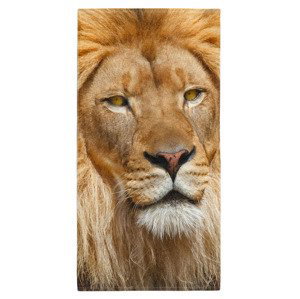 Osuška Lví pohled  (Velikost osušky: 100x170cm)