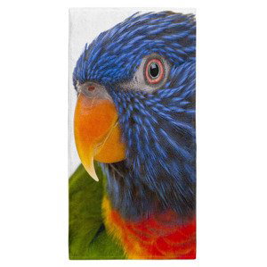 Osuška Barevný papoušek  (Velikost osušky: 70x140cm)