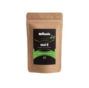 Maté - Extrakt z listů s 20% kofeinu v prášku (Balení obsahuje: 20g)