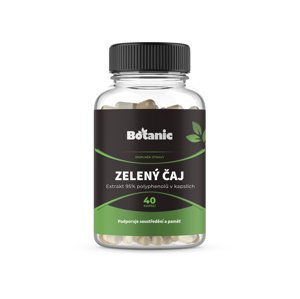 Zelený čaj - Extrakt 95% polyphenolů v kapslích (Balení obsahuje: 40kap.)