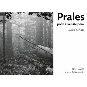 Jakub K. Plášil - PRALES POD FALKENŠTEJNEM