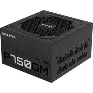 GIGABYTE P750GM 750W