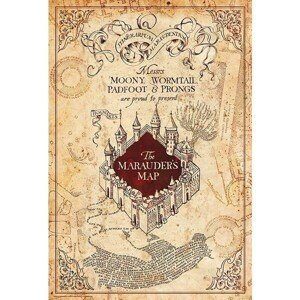 Plakát Harry Potter - Maurauder's Map (29)