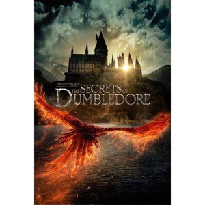 Plakát Fantastic Beasts - The Secrets of Dumbledore (65)