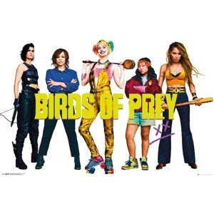 Plakát Birds Of Prey - Group (84)