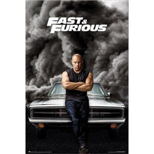 Plakát Fast & Furious - Dominic Toretto (161)