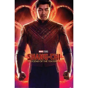 Plakát Shang-Chi and the Legend of the Ten Rings - Flex (263)