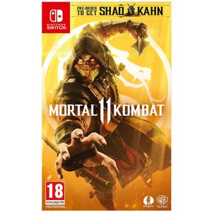 Mortal Kombat 11 (SWITCH)