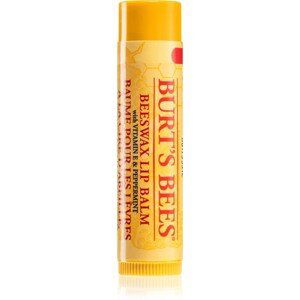 BURT'S BEES balzám na rty ze včelího vosku s mátovým olejem (tyčinka), 4,25 g