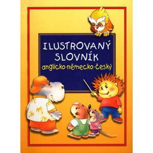 Ilustrovaný slovník A-N-Č - Andriej Melnikow