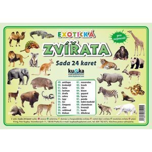 Exotická zvířata - Sada 24 karet - Petr Kupka