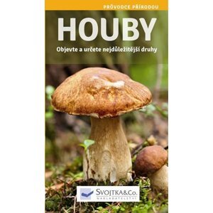 Houby - Objevte a určete nejdůležitější druhy