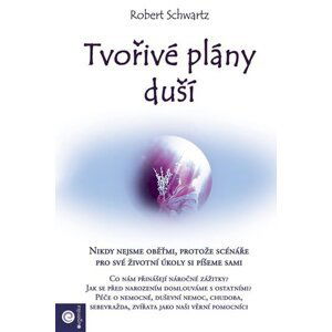 Tvořivé plány duší - Robert Schwartz