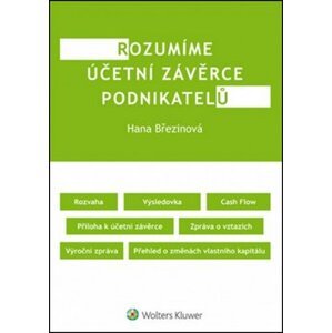 Rozumíme účetní závěrce podnikatelů - Hana Březinová