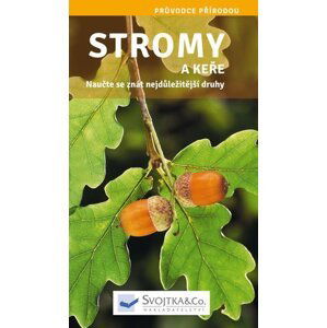 Stromy a keře - Naučte se znát nejdůležitější druhy