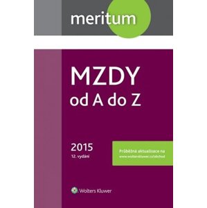 Mzdy od A do Z 2015 - autorů kolektiv