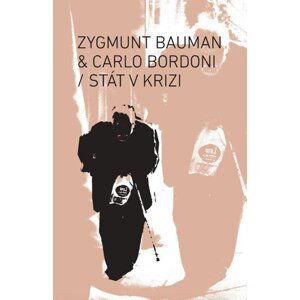 Stát v krizi - Zygmunt Bauman