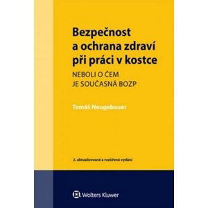 Bezpečnost a ochrana zdraví při práci v kostce - Tomáš Neugebauer